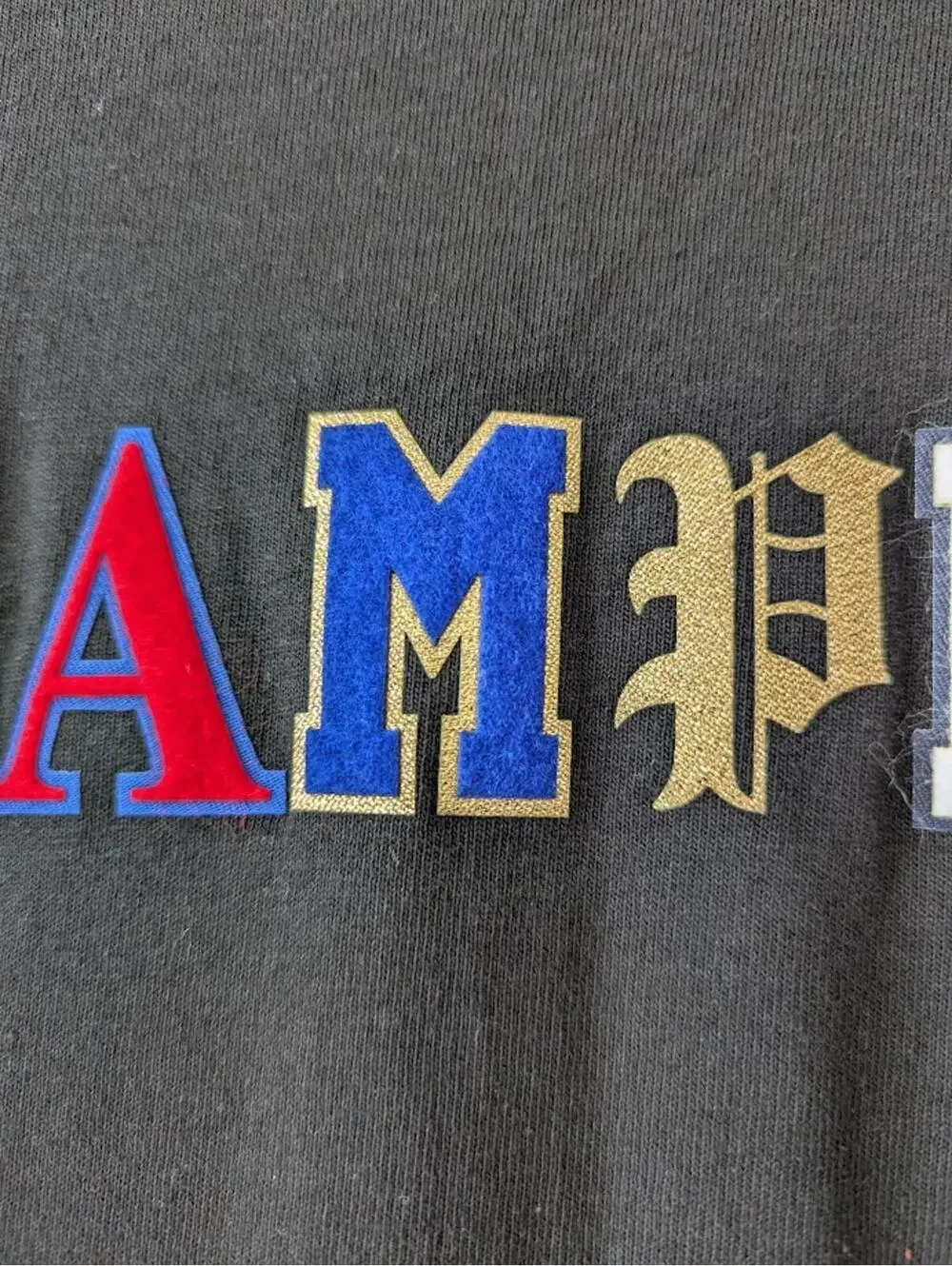 Champion Shirt Large Black Vintage Multi-Font Ransom Lettering Embroidered 22x29 - Picture 3 of 5